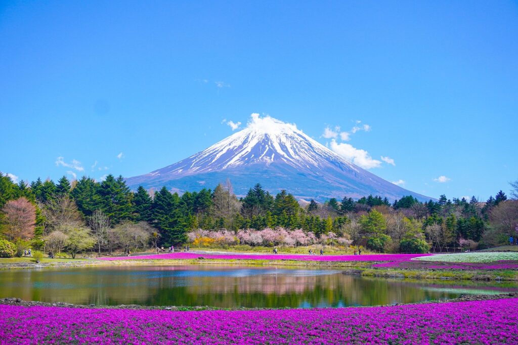 mount fuji, lake, mountain, park, flowers, japan, spring, flower wallpaper, mount fuji, mount fuji, nature, mount fuji, flower background, mount fuji, japan, japan, beautiful flowers, japan, japan, japan-8010752.jpg