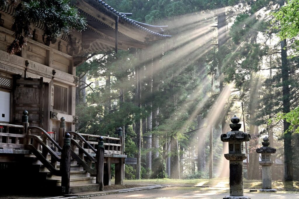 sun rays, forest, koyasan temple, fog, sun beams, trees, japan, japan, japan, japan, nature, japan, japan-7387131.jpg